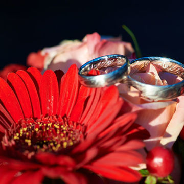 Foto Weidner Hochzeitsfotos - Portraits Fotos der Ringe Eheringe in Garmisch-Partenkirchen Portraits Fotos der Ringe Eheringe in Garmisch-Partenkirchen