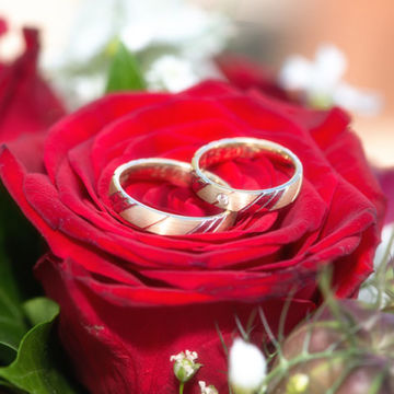Foto Weidner Hochzeitsfotos - Portraits Fotos der Ringe Eheringe in Wessling am Wesslinger See Portraits Fotos der Ringe Eheringe in Wessling am Wesslinger See